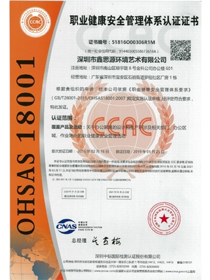 職業(yè)健康安全管理體系認(rèn)證證書(shū)